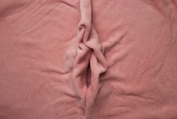 decidual cast