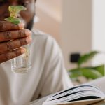Lecture et jeune plante, symbole de développement personnel