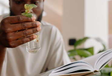 Lecture et jeune plante, symbole de développement personnel
