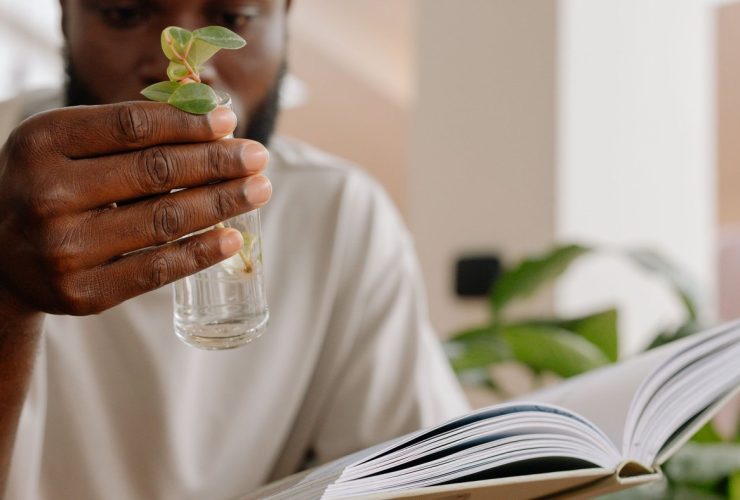 Lecture et jeune plante, symbole de développement personnel