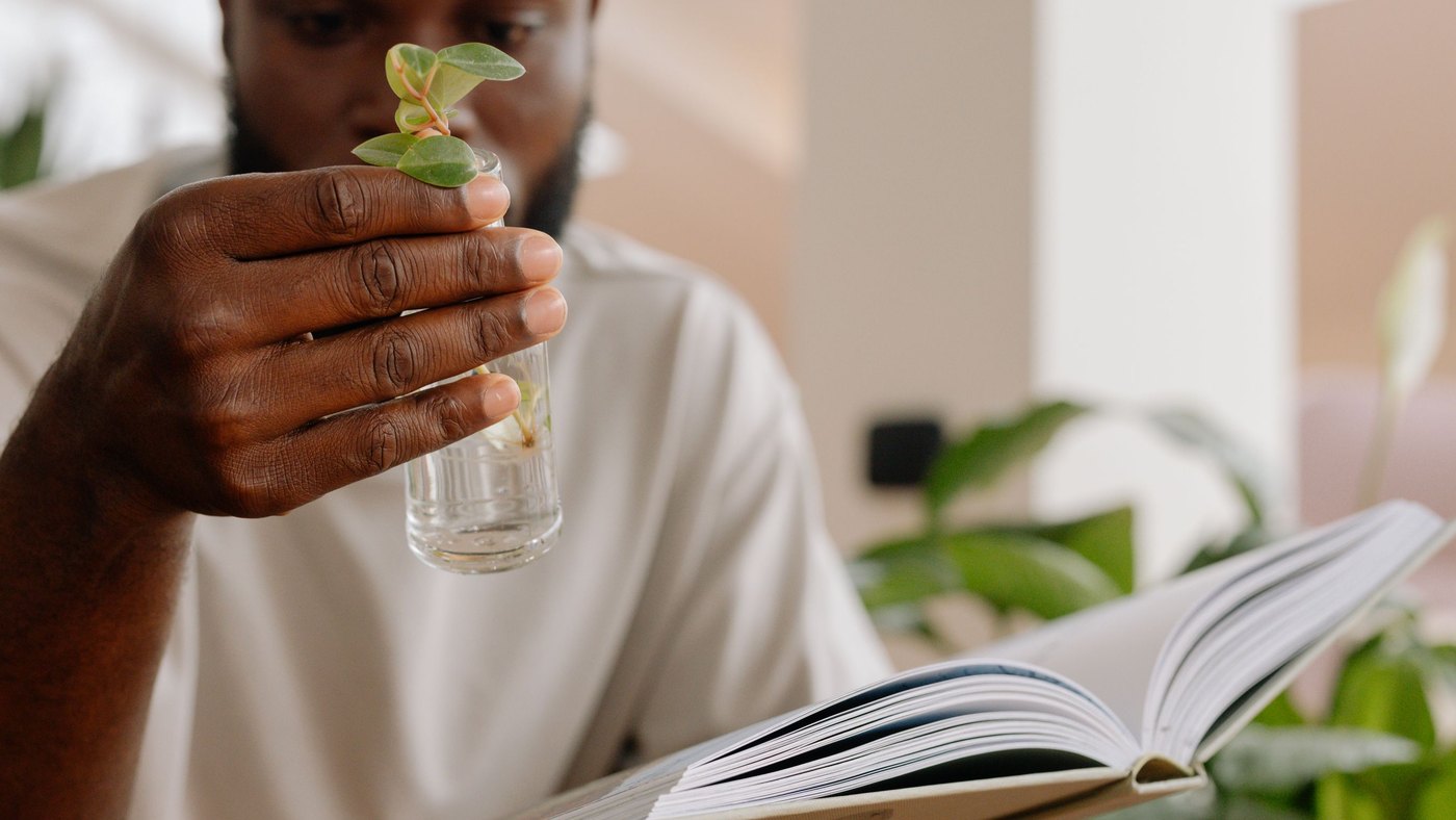 Lecture et jeune plante, symbole de développement personnel