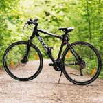 Vélo sur route entre les arbres pour illustrer le vélo de route moderne