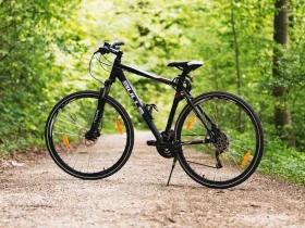Vélo sur route entre les arbres pour illustrer le vélo de route moderne