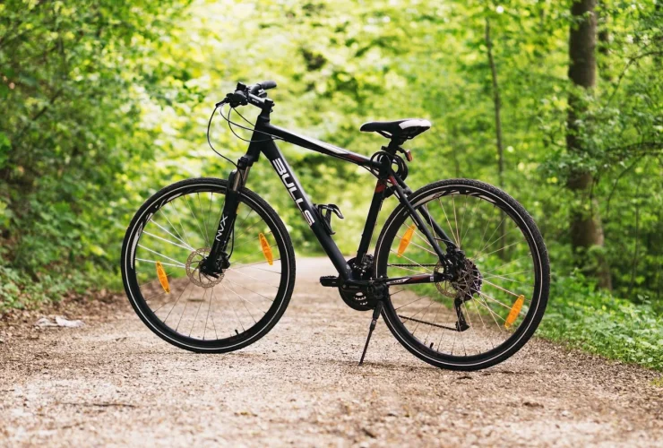 Vélo sur route entre les arbres pour illustrer le vélo de route moderne