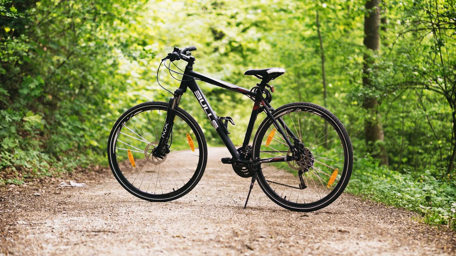 Vélo sur route entre les arbres pour illustrer le vélo de route moderne